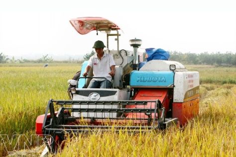 សិក្ខាសាលា “យុទ្ធសាស្ត្រអភិវឌ្ឍន៍កសិកម្មជនបទវៀតណាមដល់ឆ្នាំ ២០២០ និងទស្សនវិស័យដល់ ឆ្នាំ ២០៣០”